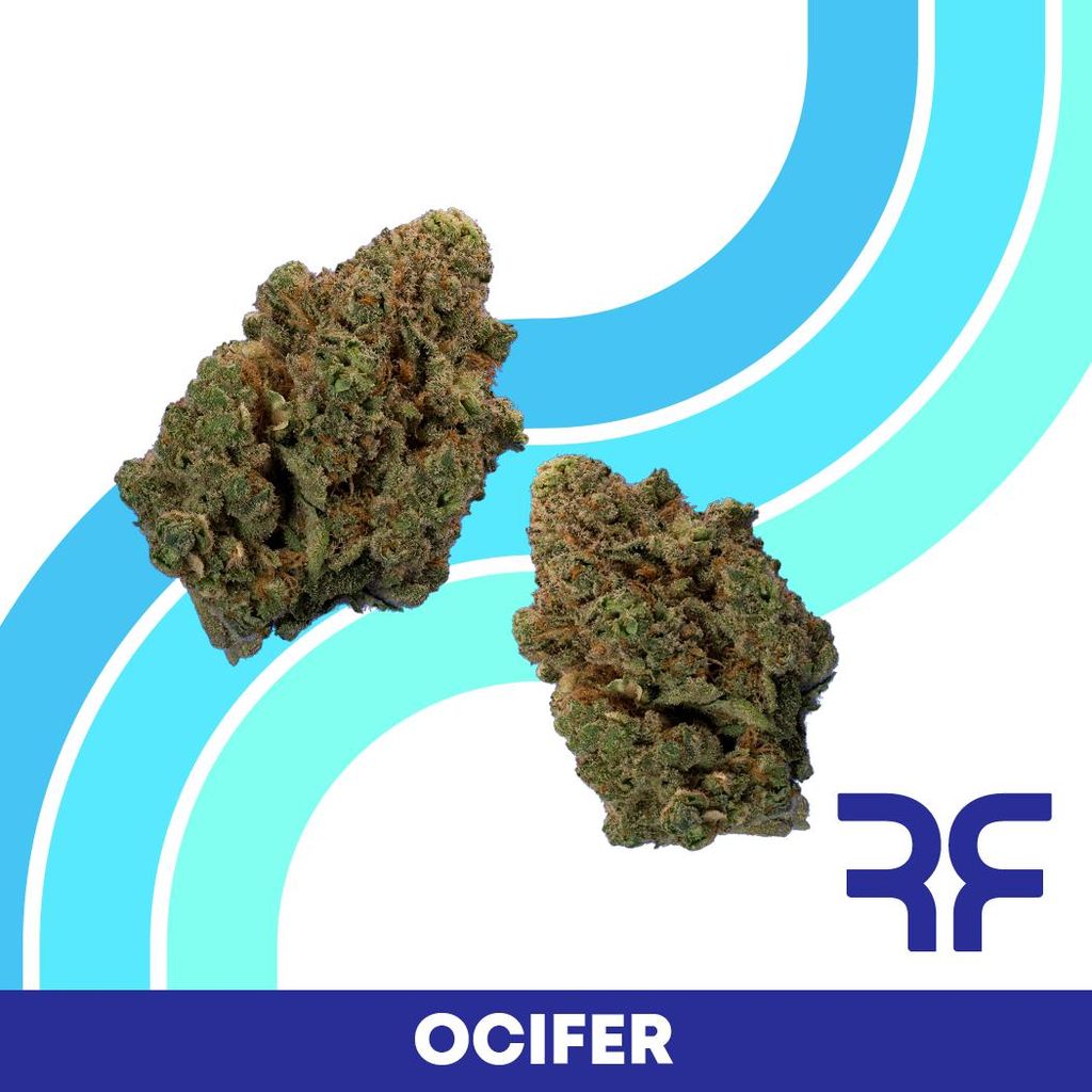 Ocifer, Reef
