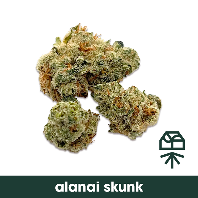 Alani Skunk