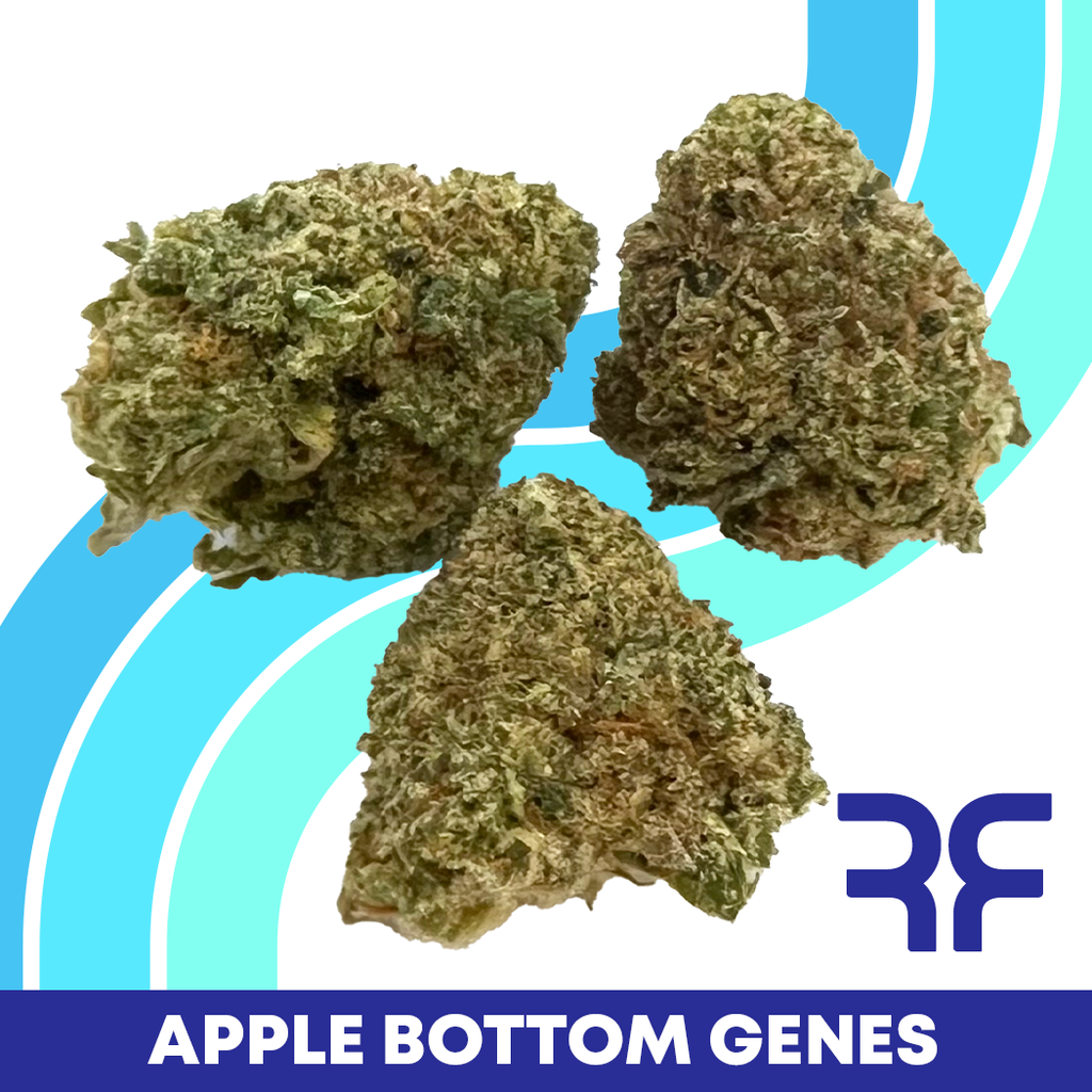 Apple Bottom Genes