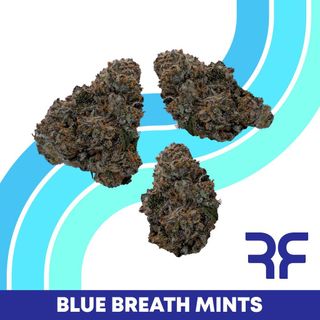 Blue Breath Mints Reef