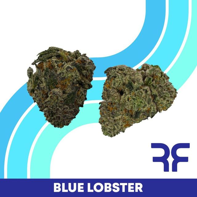 Blue Lobster