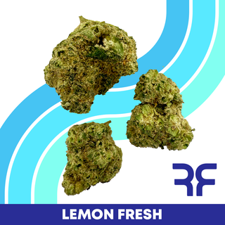 Lemon Fresh Reef