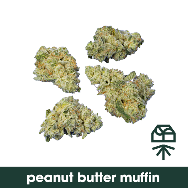 Peanut Butter Muffin