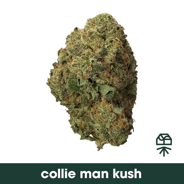 Collie Man Kush
