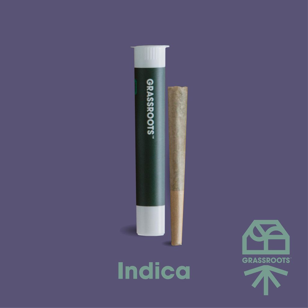 Indica Princess
