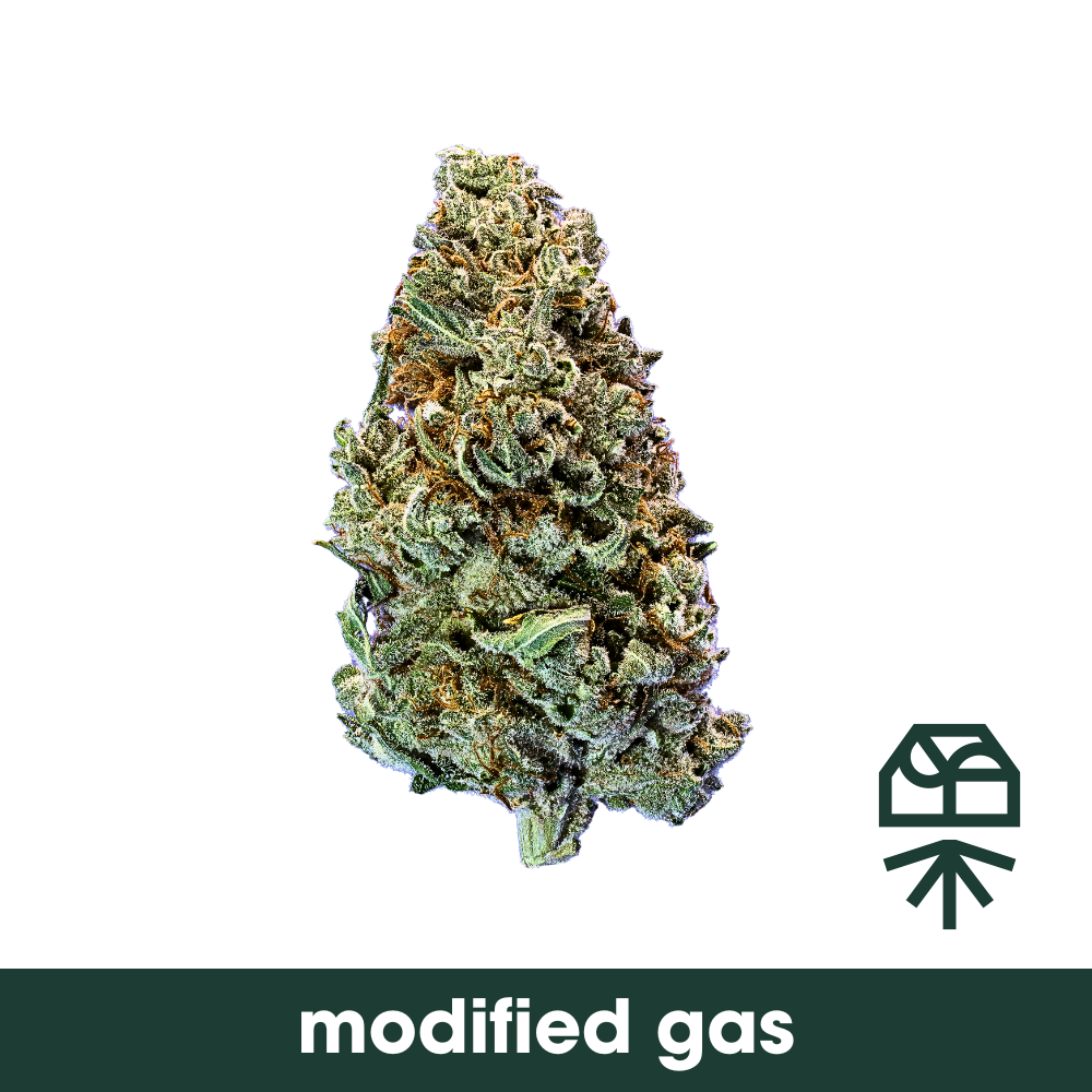 Modified Gas