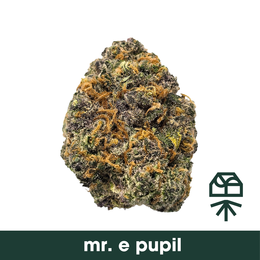 Mr. E Pupil 3.5g Whole Flower | Curaleaf Pensacola Nine Mile, FL