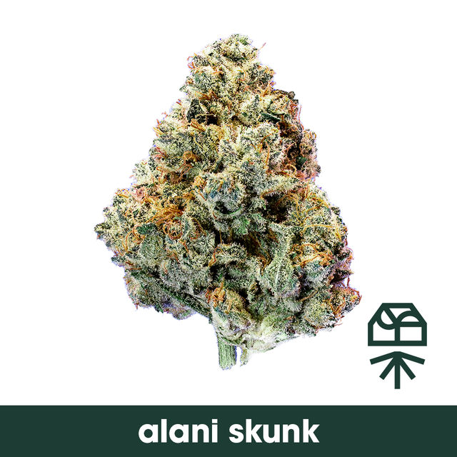 Alani Skunk