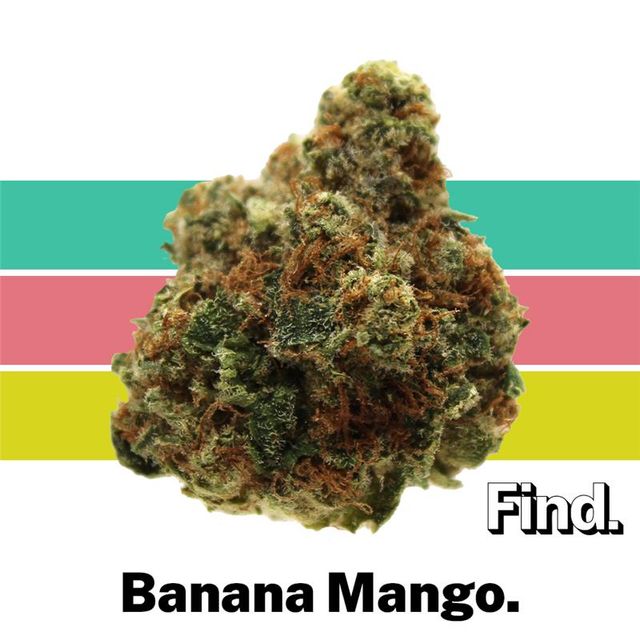 Banana Mango Find.