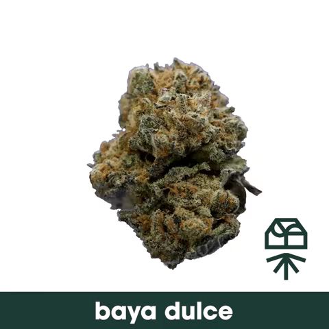 Baya Dulce