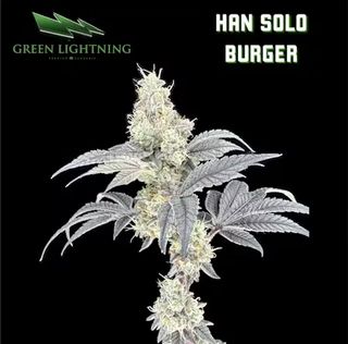 Han Solo Burger Green Lightning