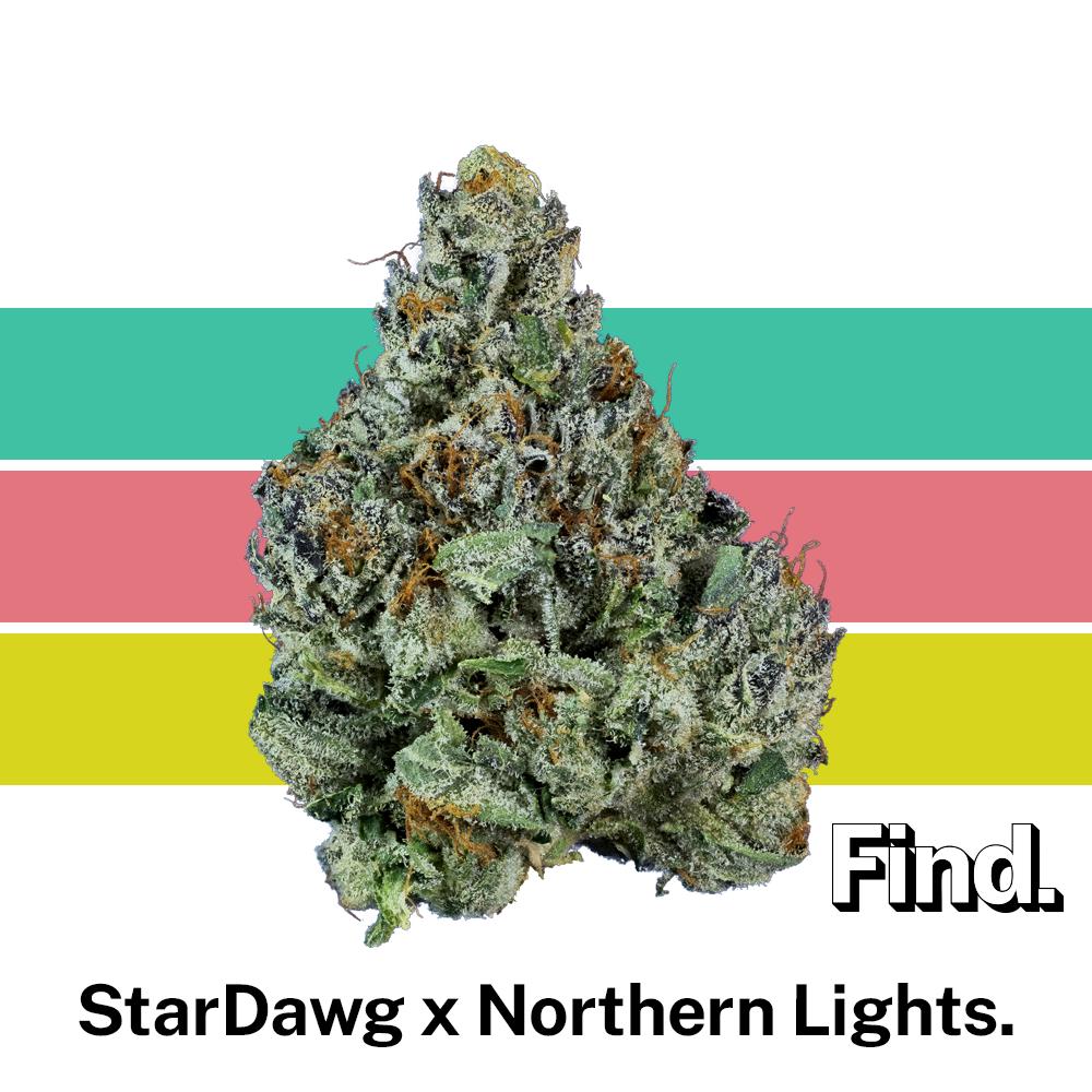 StarDawg x Northern Lights, Find.