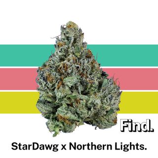 StarDawg x Northern Lights Find.