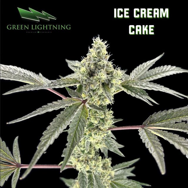 Ice Cream Cake Green Lightning
