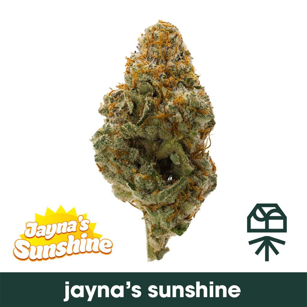 Jayna's Sunshine