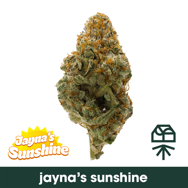 Jayna's Sunshine