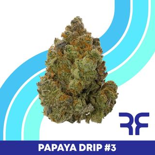 Papaya Drip #3 Reef