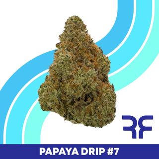 Papaya Drip #7 Reef