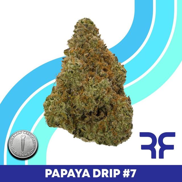 Papaya Drip #7 Reef