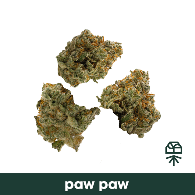 Paw Paw