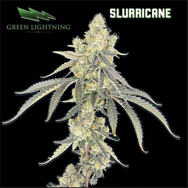Slurricane Green Lightning