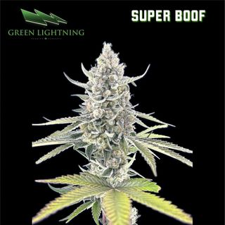 Super Boof Green Lightning