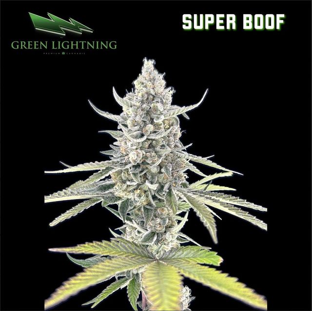 Super Boof Green Lightning Super Boof Green Lightning