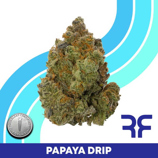 Papaya Drip Reef