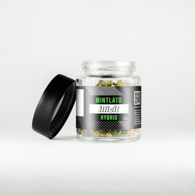 Mintlato Illicit