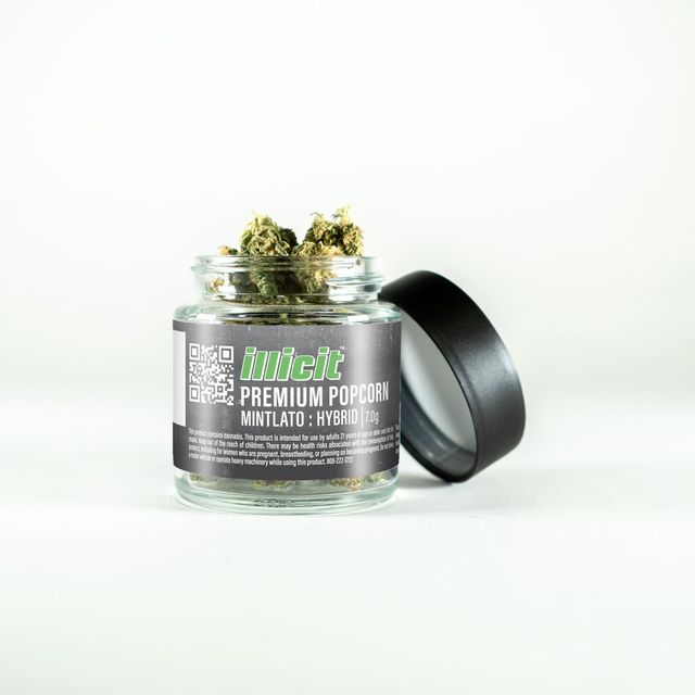 Mintlato Illicit
