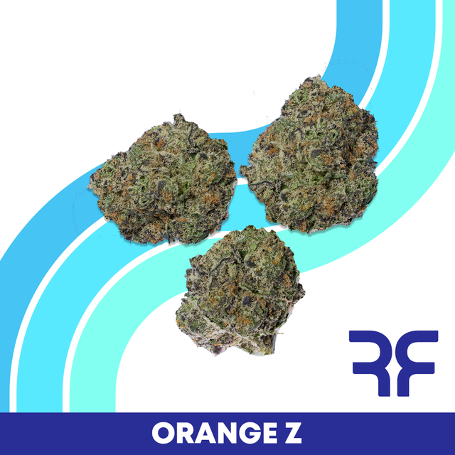Orange Z Reef