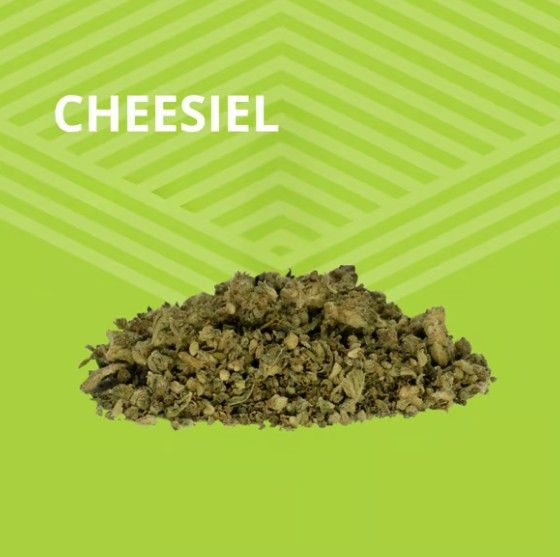 Cheesiel Pure Dakota