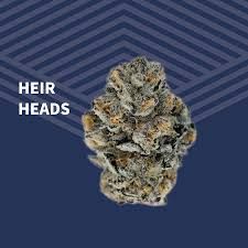 Heir Heads Pure Dakota