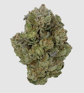 GG #4 Pure Dakota