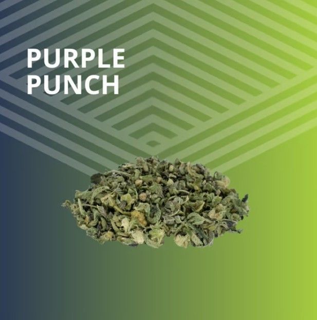 Purple Punch Pure Dakota