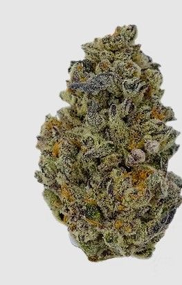 Purple Punch Pure Dakota