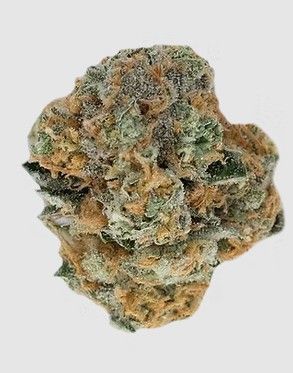 8-Legged Berries Pure Dakota