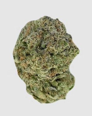 Lilac Diesel Pure Dakota