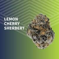 Lemon Cherry Sherbert Pure Dakota