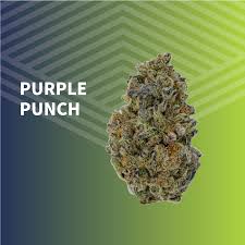 Purple Punch