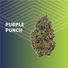 Purple Punch Pure Dakota