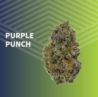 Purple Punch Pure Dakota