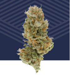 Black Cherry Punch Pure Dakota