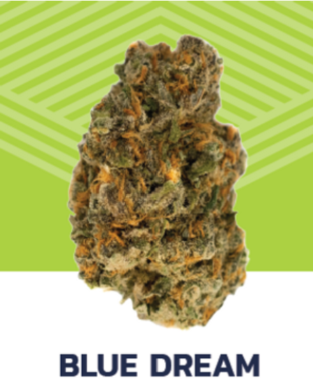 Blue Dream Pure Dakota