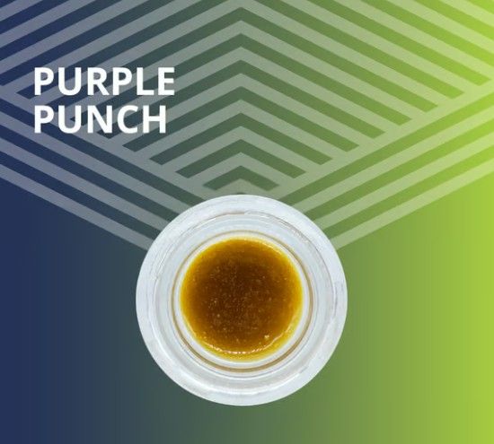Purple Punch Pure Dakota