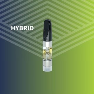 Cannabis Promo, Cannabis Sales, Cannabis Discounts, Cannabis on Sale, LAST CHANCE: 60% OFF 1
