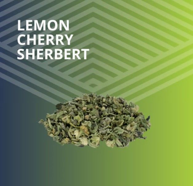 Lemon Cherry Sherbert Pure Dakota