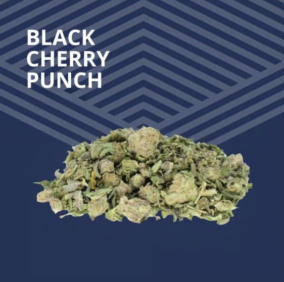 Black Cherry Punch Pure Dakota