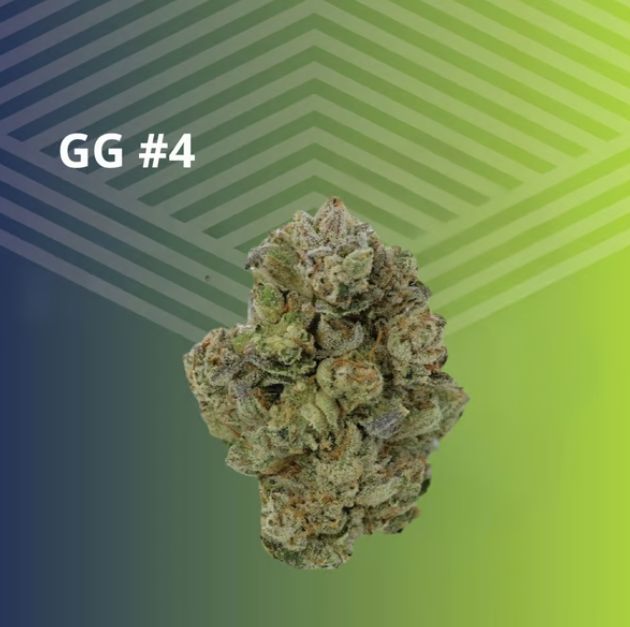 GG #4 Pure Dakota