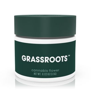 Stardawg x Northern Lights Grassroots